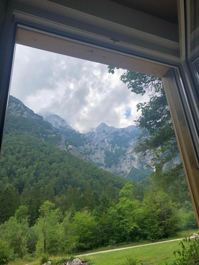Skalca Villa Kamniska Bistrica Eksteriør billede